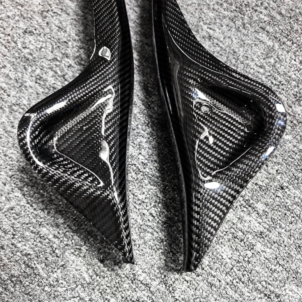 DRY CARBON SWINGARM PROTECTION for KTM EXC 150 2024-2026