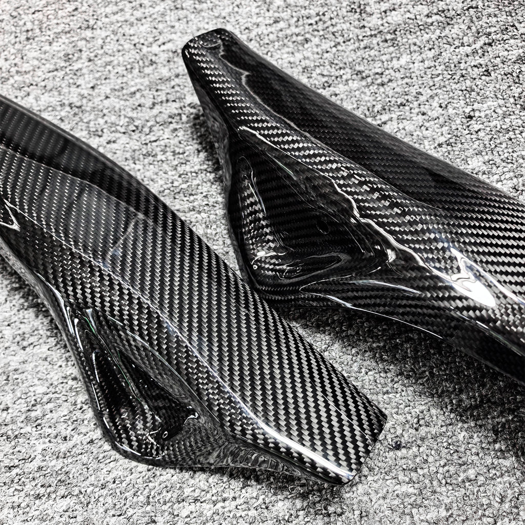DRY CARBON SWINGARM PROTECTION for KTM EXC 150 2024-2026